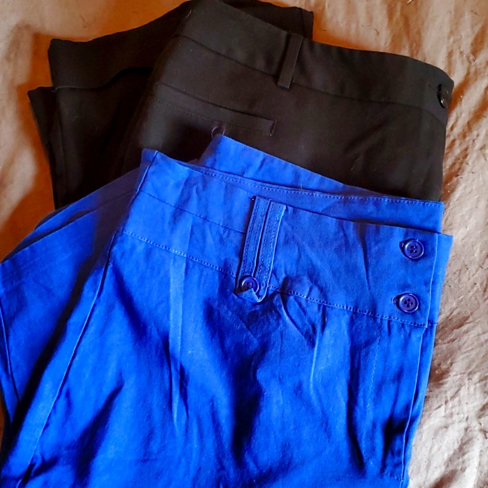 2 pair of dress shorts perfect for work